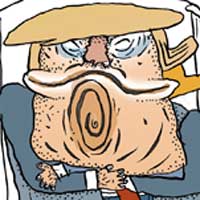Mostrar el cartón