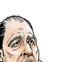 Mostrar el cartón