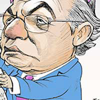 Mostrar el cartón