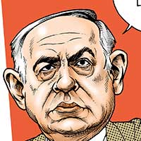 Mostrar el cartón