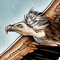Mostrar el cartón