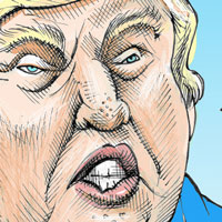 Mostrar el cartón