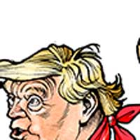Mostrar el cartón