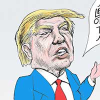 Mostrar el cartón
