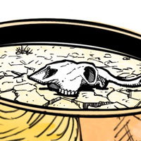 Mostrar el cartón
