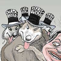 Mostrar el cartón