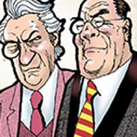 Mostrar el cartón