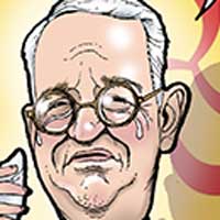 Mostrar el cartón