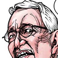 Mostrar el cartón